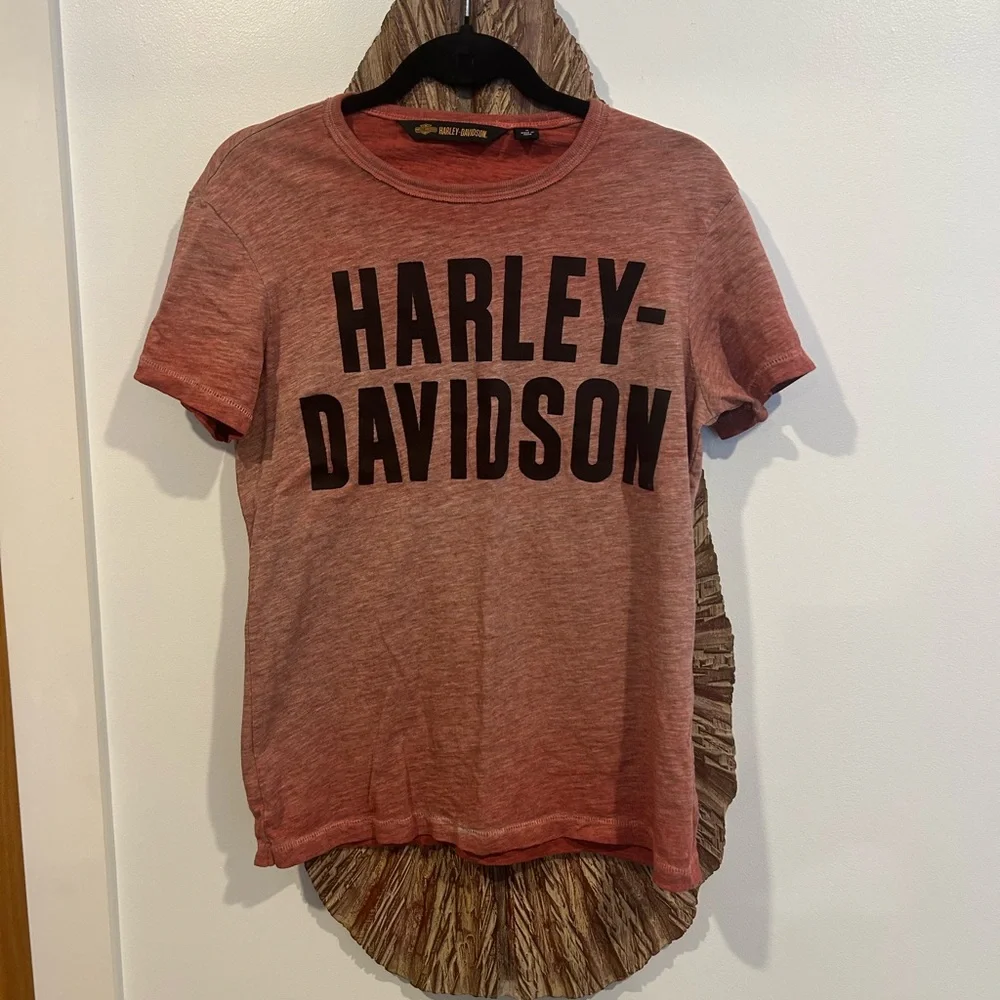 Harley-Davidson Brick Red Tee with Black Logo - Picture 1 of 3